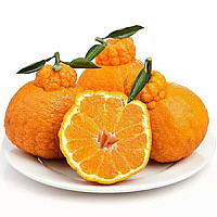 果仙享 新鲜四川丑橘不知火丑八怪丑柑丑桔子大果 时令新鲜水果 2kg装