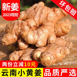 中鲜生 云南现挖小黄姜 5斤装