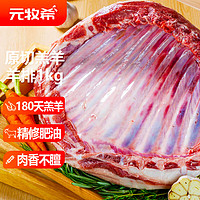 元牧希 羔羊排1kg(2斤装) 原切羊排偏肥肋排骨烧烤炖煮火锅食材国产羊肉