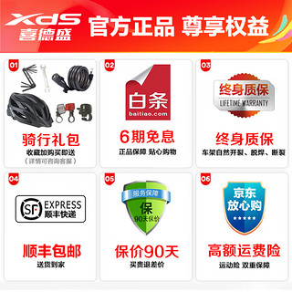 XDS 喜德盛 RS500公路自行车