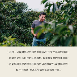 PIGGY BANK 扑满咖啡 哥伦比亚 守望庄园 双重发酵水洗 150g
