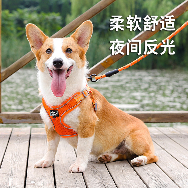 petfun 宠趣 狗狗牵引绳背心式中小型犬柯基法斗柴犬遛狗绳可调节胸背带狗链子