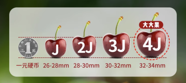 Goodfarmer 佳农 智利车厘子 JJ级 单果28-30mm 5kg