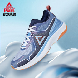 PEAK 匹克 态极4.0Pro 绫罗绸缎配色 中性跑鞋 DH240817