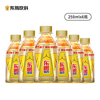 东鹏 特饮维生素功能饮料250ml*6瓶装电商专享升级包装A