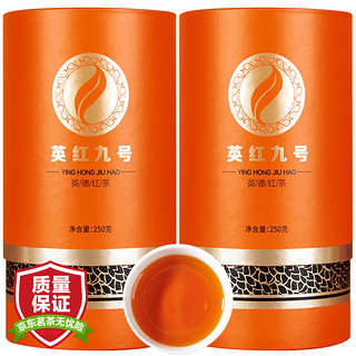 高资堂 英红九号250克*2罐（共500克）英德红茶广东特产一级 新茶上市