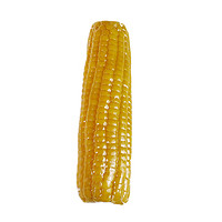 黄糯玉米 10根