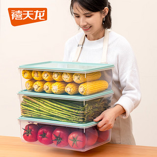 Citylong 禧天龙 冰箱保鲜盒食品级冰箱收纳盒塑料密封盒蔬菜水果冷冻盒 8L 1个