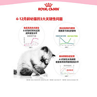 ROYAL CANIN 皇家 K36皇家猫粮10kg全价增肥营养1-4到12月幼猫专用奶糕BK34