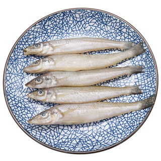 鲜之国 青岛冰鲜沙丁鱼 500g 新鲜海鱼