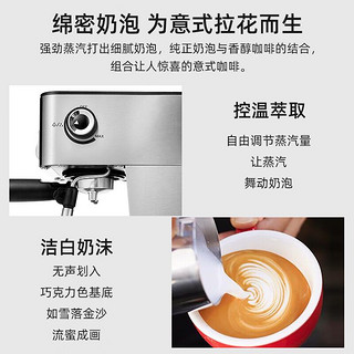 Derlla 咖啡机意式半自动咖啡机家用浓缩蒸汽打奶泡 KW780
