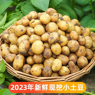 栗贝诺 小土豆新鲜净重4.5斤 当季蔬菜土家特产迷你马铃薯