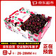 京东超市 31号晚8：京东超市 智利原箱车厘子J级 5kg礼盒装 果径约26-28mm
