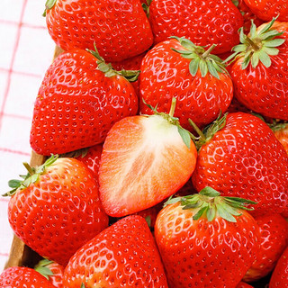 恰货郎大凉山奶油草莓新鲜水果红颜99牛奶油味 严选奶油红颜草莓 1盒 11-12粒礼盒装 果王25克+
