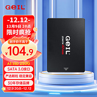 GeIL金邦A3 SSD固态硬盘sata3.0接口 高速读取台式机笔记本加装扩容2.5英寸硬盘 A3 250G 标配