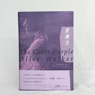 紫颜色 艾丽斯·沃克美国国家图书得主 外国小说女性文学 鲁迅文学翻得主陶洁 后浪