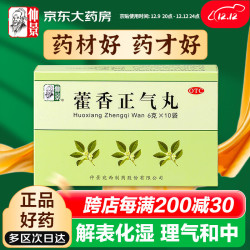 仲景 藿香正气丸6g*10袋  解表化湿药 用于外感风寒引起的头痛昏重胸闷腹胀呕吐泄泻