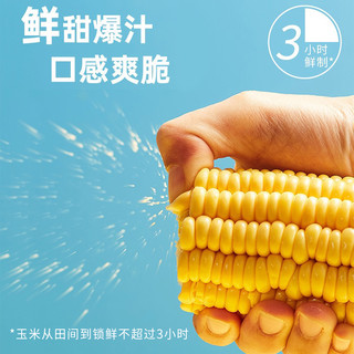北纬47° 北纬47度低GI水果玉米棒开袋即食真空袋装黑龙江甜糯玉米220g*6穗