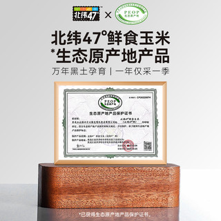北纬47° 北纬47度低GI水果玉米棒开袋即食真空袋装黑龙江甜糯玉米220g*6穗