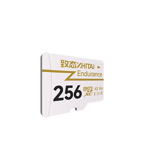 ZHITAI 致态 长江存储 256GB TF存储卡 Endurance行车记录仪&家庭商用安防监控摄像专用