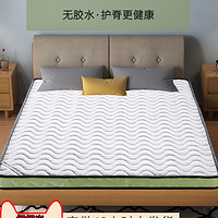dHP 定做床垫任意尺寸偏硬天然椰棕垫家用棕榈垫订做三折叠定制榻榻米