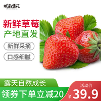 城南堡花 四川草莓 大凉山露天新鲜草莓应季水果现摘现发 3斤 彩箱装