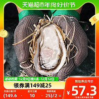88VIP：BEISILING 贝司令 乳山生蚝鲜活2XL净重4斤13-17只海蛎子新鲜海鲜水产牡蛎