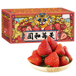 四川露天红颜99草莓 5斤装