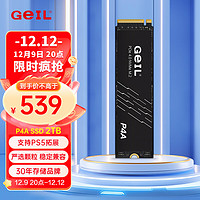 GeIL金邦M.2固态硬盘P4A M.2高速NVME PCIE4.0协议台式机笔记本通用SSD P4A 2T 标配