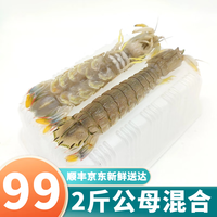 带膏母皮皮虾鲜活熟冻 2斤公母混合