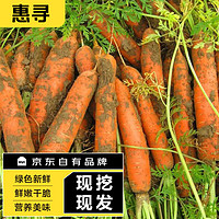 惠寻 京东自有品牌 地理标志 胡萝卜10斤