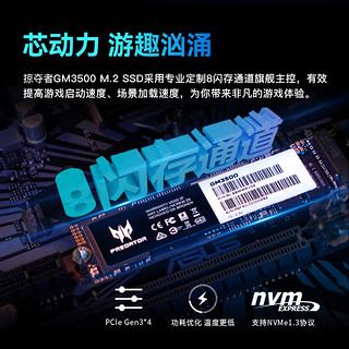 PREDATOR 宏碁掠夺者 GM3500系列 M.2 固态硬盘 2TB （PCI-E3.0）