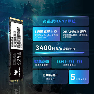 PREDATOR 宏碁掠夺者 GM3500系列 M.2 固态硬盘 2TB （PCI-E3.0）