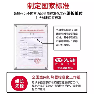 先锋 DBL-GY1R 3D仿真火焰 黑色 暖风机