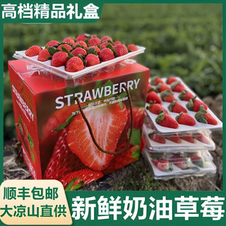 恰货郎大凉山奶油草莓新鲜水果红颜99牛奶油味 精选奶油红颜草莓 1盒 11-12粒礼盒装 单果王25克+