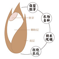 简箪 谦益生态糙米2023新米健身杂粮米发芽糙米饭粗粮主食孕妇五谷杂粮