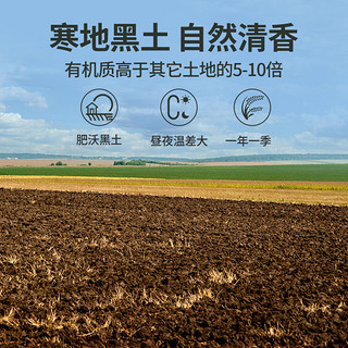 润香粮品 东北大米2023年新米长粒香米5KG粳米5斤小町米农家粥米珍珠米10斤