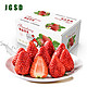 晶果时代 牛奶草莓 净重1.4斤+精美彩箱（单个15g+）