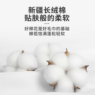 LOCK&LOCK 毛巾洗脸长绒棉A类毛巾抑菌加厚全棉强吸水洗脸巾34×72 95克/条 浅蓝色