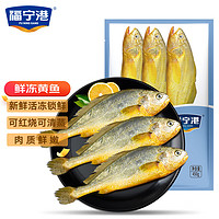 福宁港 冷冻深海黄鱼450g（共3条装）生鲜 鱼类 烧烤 健康轻食