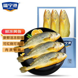 福宁港 冷冻深海黄鱼450g（共3条装）生鲜 鱼类 烧烤 健康轻食
