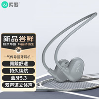 SOAIY/索爱 骨传导概念 真无线运动蓝牙耳机 黑色