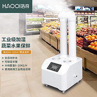 HAOQI 浩奇 工业加湿器大雾量空气商用蔬菜水果保鲜工厂烧烤叶回潮大型喷雾机 白色 6KG智能版