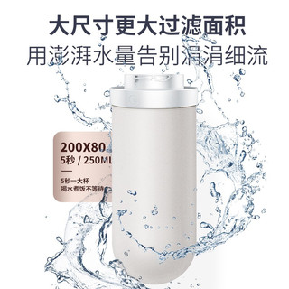  IKIDE/易开得 滤芯可清洗 净水器 矽藻瓷超滤滤芯