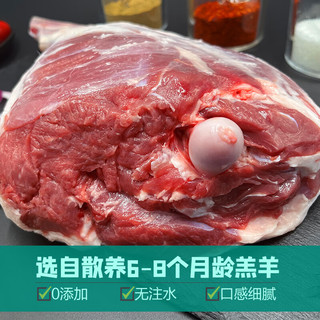 牧人渔火 宁夏滩羊肉新鲜羊腿整只生鲜后腿肉羔羊小腿骨棒切块烧烤食材 羔羊后腿整只4斤
