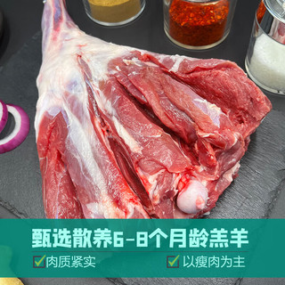 牧人渔火 宁夏滩羊肉新鲜羊腿整只生鲜后腿肉羔羊小腿骨棒切块烧烤食材 羔羊后腿整只4斤