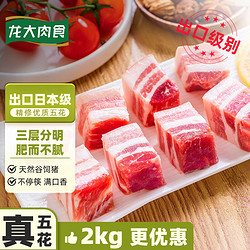 龙大 肉食 猪五花肉块2kg 冷冻带皮五花肉猪五花烤肉