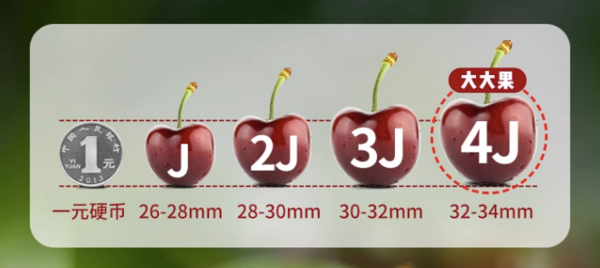 FruitPark 洋果坊 智利进口车厘子 4J  2.5kg原箱  32-34mm