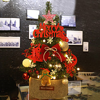 多美忆 圣诞树60cm圣诞节装饰中型迷你彩灯摆件场景60CM红色小树