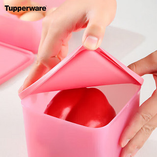 特百惠（Tupperware）冰箱冷藏保鲜盒方形5件套食品级收纳盒 带包装可